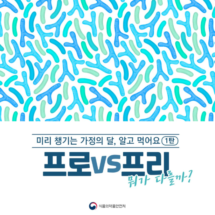  프로바이오틱스 VS 프리바이오틱스 무엇이 다를까요?