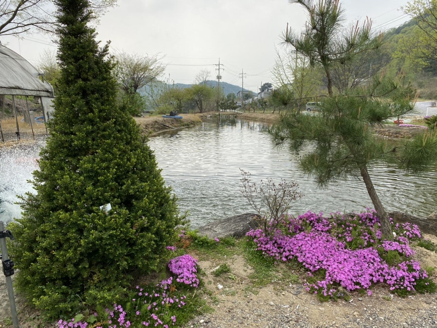 옥산메기장식당 사진 2