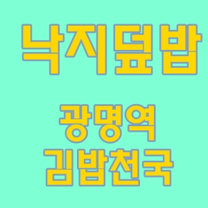 김밥천국직화낙지덮밥광명역