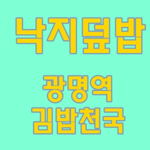  김밥천국직화낙지덮밥광명역