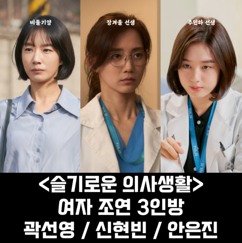 슬기로운 의사생활 여자조연 3인방이 궁금해! 곽선영 안은진 신현빈 소개 | 금비라의 여가생....