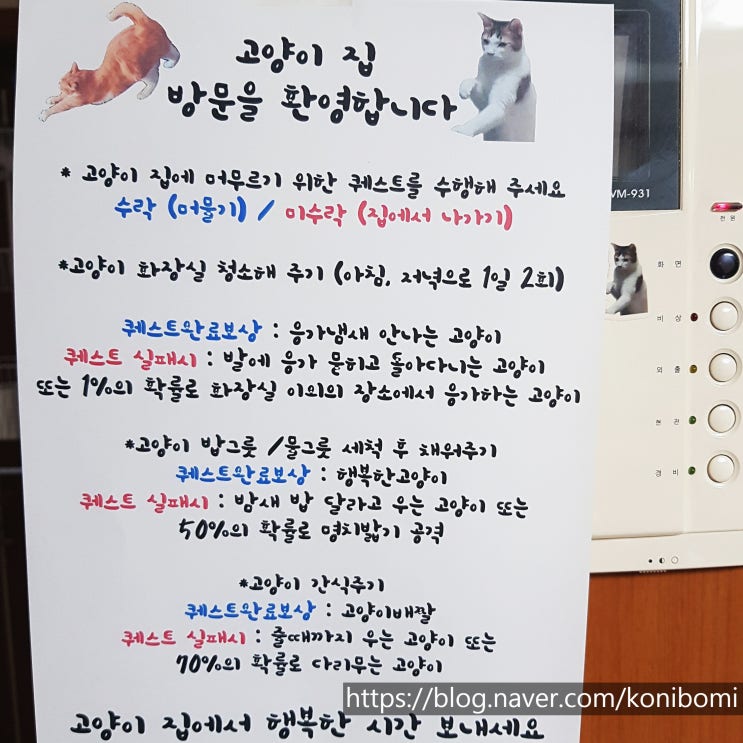 코니보미 일상 0501 코니보미 일상 0501