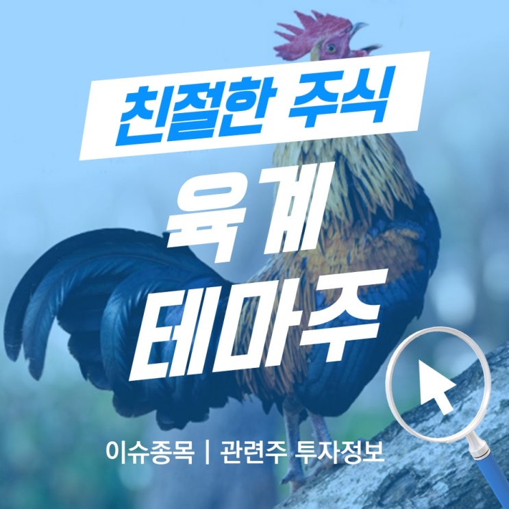 [오늘의 테마주]육계(닭고기) 테마주 알아보기