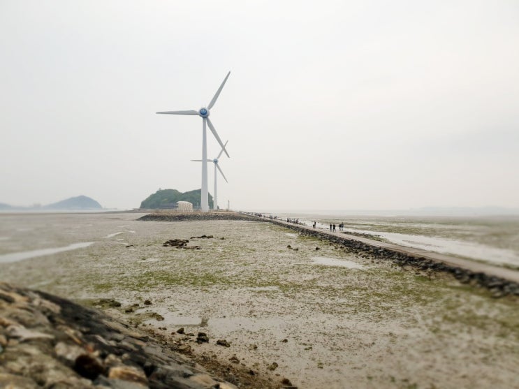  대부도 가볼만한곳 탄도항 바닷길. (물때표 확인하고 갯벌 체험도 즐겨보세요 ^^)