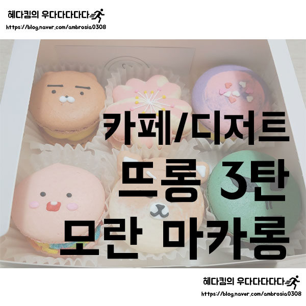  [카페/디저트]뜨롱 마카롱 3탄/모란역 배달 가능한 귀여운 마카롱