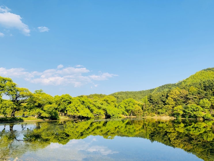  경산 가볼만한곳 반곡지 핫플은 바로 여기야
