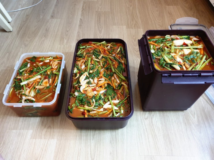  열무김치 담그는 법 ~ 아삭아삭 맛있는 열무김치 담그는 tip!