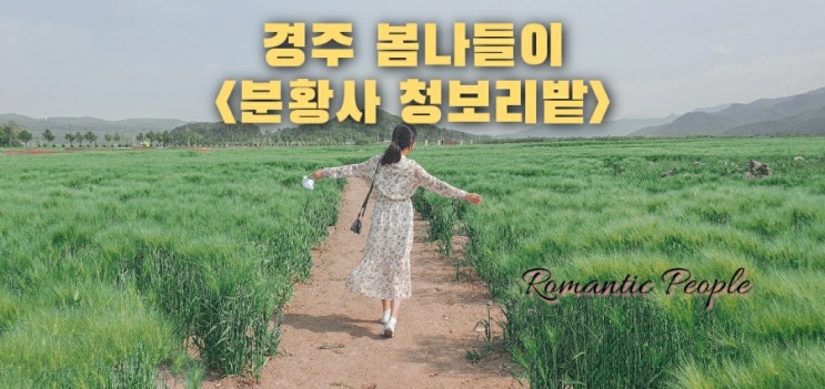 경주 봄나들이 <분황사 청보리밭> 경주 봄나들이 <분황사 청보리밭>