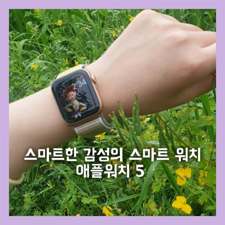  스마트한 감성의 애플워치5 개봉기, 배터리 성능 및 블루투스 버전의 아쉬움