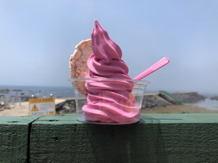  저희 백년초 아이스크림 먹으러 오세요!!