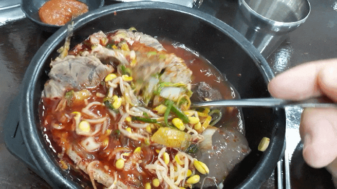  제주시청근처 맛집 "백성원해장국" 술마시고 해장하기 딱좋은 밥집  2박3일간의 제주여행 "아침식사" 하기 좋은 식당