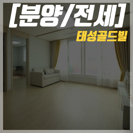  동대문구 신축빌라 전세 분양 우와 여기 왜 이렇게 큰거예요?