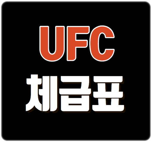  UFC 체급표 및 랭킹정리
