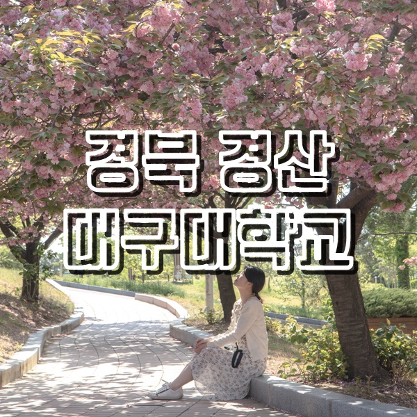 [경북 경산 여행] 겹벚꽃과 청보리밭을 구경하기 좋았던 대구대학교