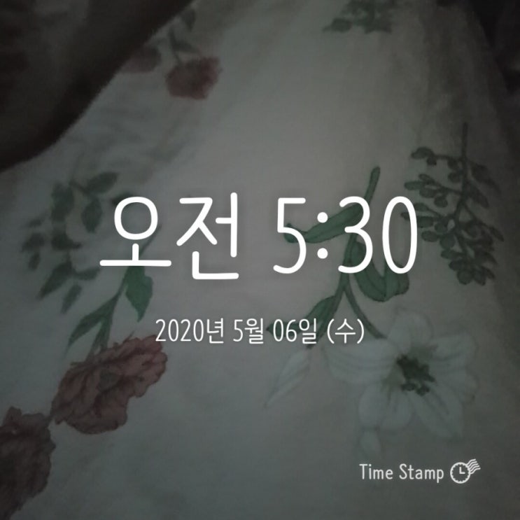  [미라클모닝] 아침형 인간되기 37일차