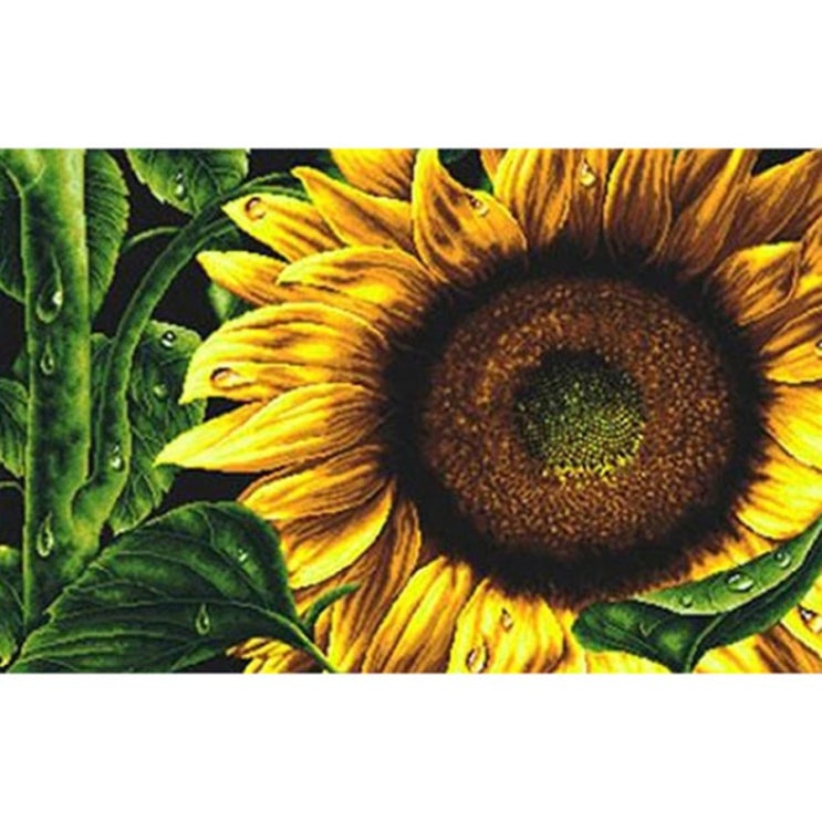 케이엠엘리 보석십자수 DIY 3D 행운 바라기 40 x 25 cm~ 할인 정보이랍니당 케이엠엘리 보석십자수 DIY 3D 행운 바라기 40 x 25 cm~ 할인 정보이랍니당