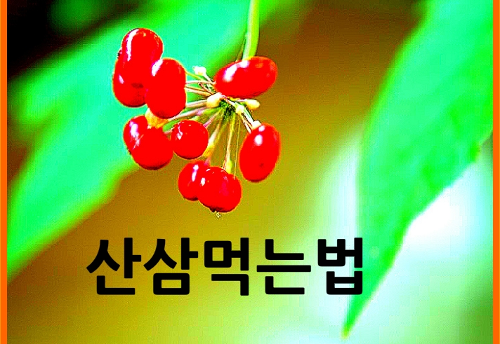  산삼 먹는법 산양삼 먹는법 자세히 알려드립니다.