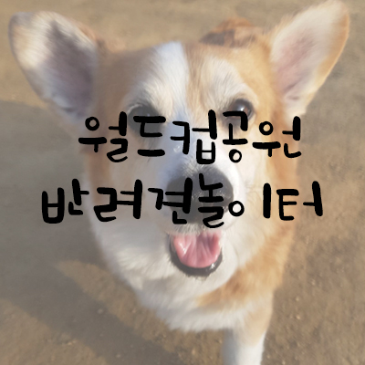 월드컵공원 반려견놀이터 이용안내 월드컵공원 반려견놀이터 이용안내