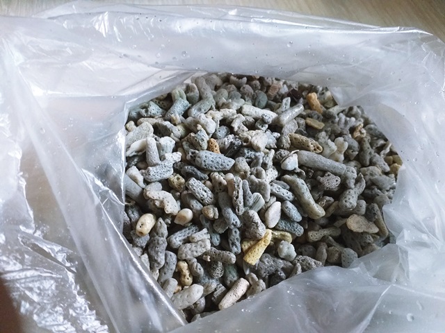 검게 변색된 산호사 하얗게 되돌리는 방법 검게 변색된 산호사 하얗게 되돌리는 방법