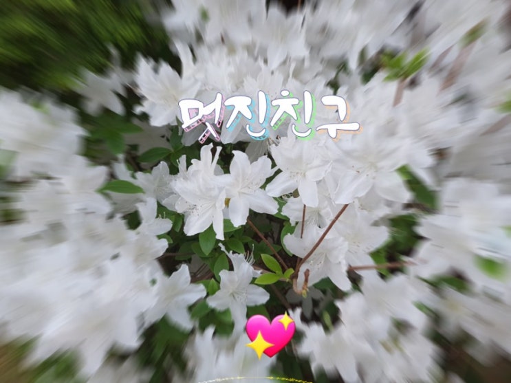 멋진친구 멋진친구