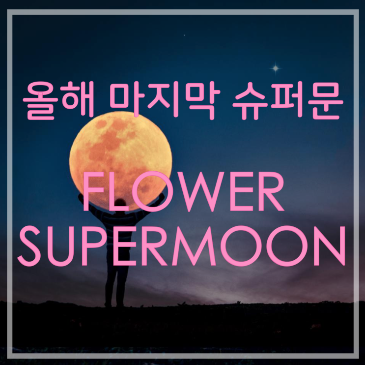  슈퍼문 올해 마지막 뜨는 '플라워슈퍼문' 뜨는 시간은 언제?