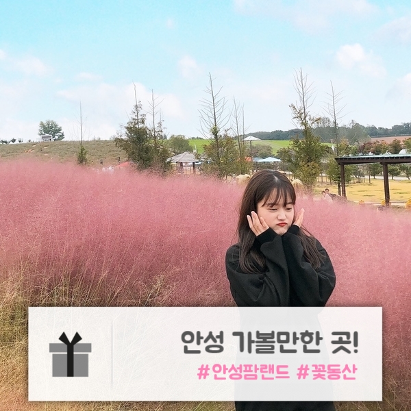  안성 | 여기가 바로 꽃동산! "안성팜랜드"