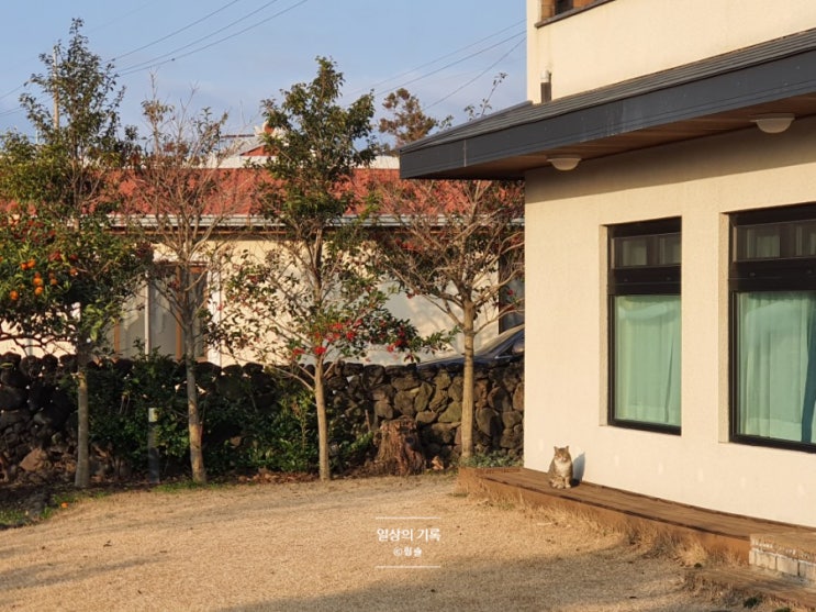  제주 위미리 숙소 비레이지(be lazy) 쉼과 정이 있는 곳