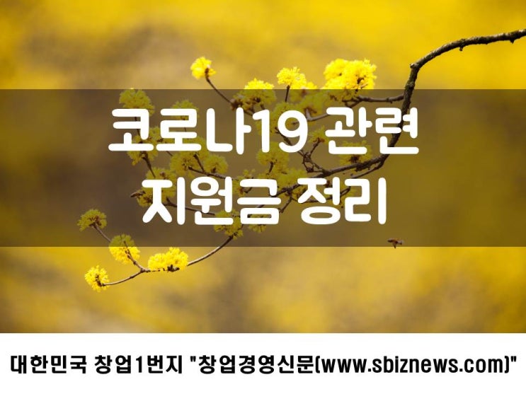 코로나19 관련 지원금 정리!