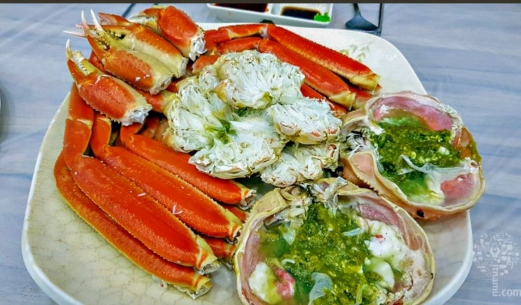  장사항 대게 맛집 애견과같이 드세요