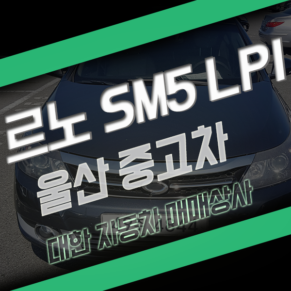  울산중고차 바라던게 여기 있네