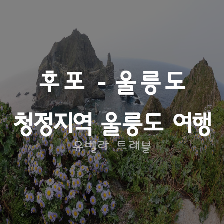  [후포출발] 울릉도 여행 패키지 관광 씨플라워호 2020년~7월