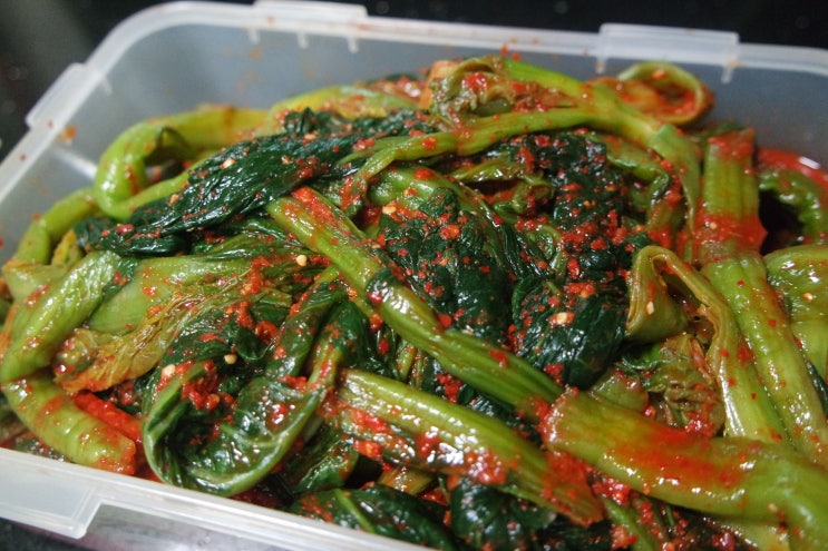 [여수 특산물 갓김치] 아삭아삭 씹을수록 깔끔한 맛이 일품인 명품 갓김치