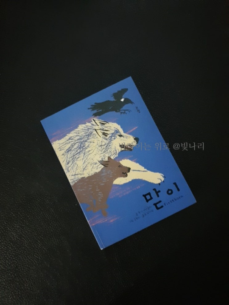 토이 세이들러의 <맏이> - 흡인력 있는 야생동물 이야기 청소년... 