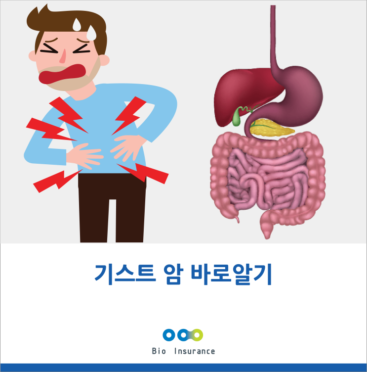 기스트암 바로 알기