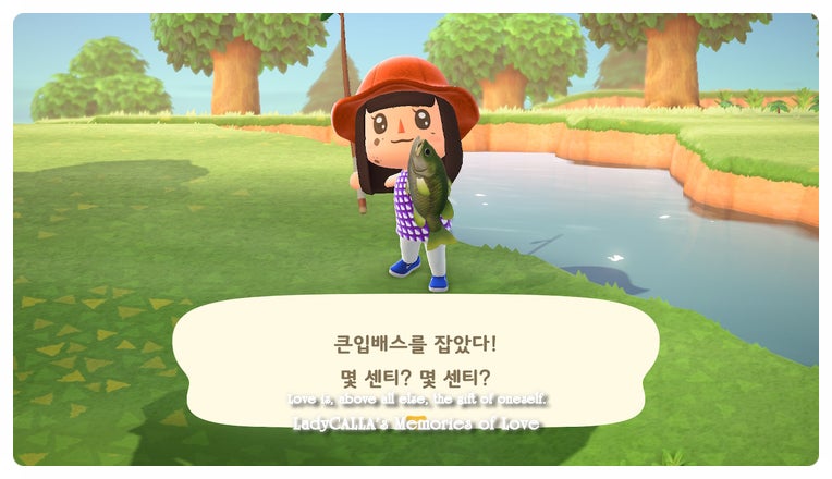 모동숲] 낚아 봐요, 낚시의 숲 : 네이버 블로그