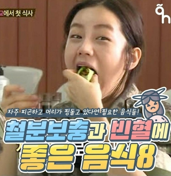  엽산,철분보충과 빈혈증상에 먹으면 도움되는 좋은 음식