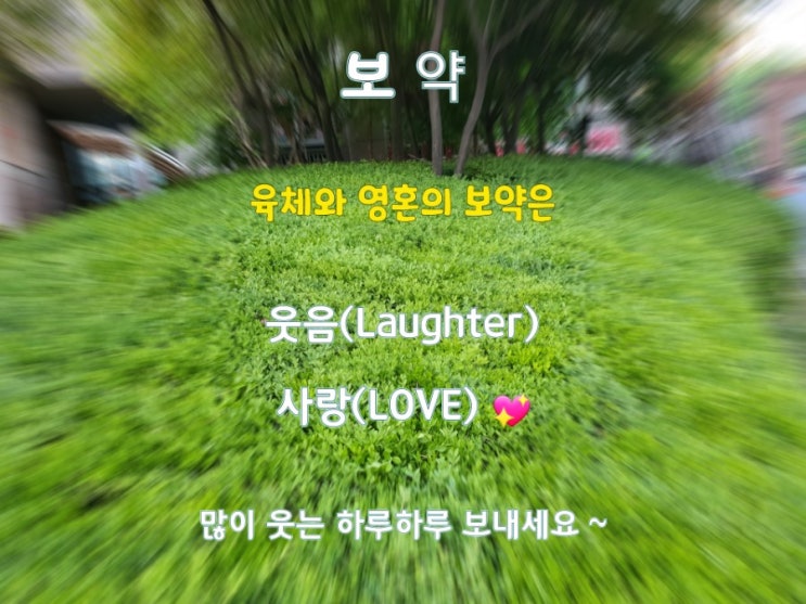 당신에게 훌륭한 의사와 보약 당신에게 훌륭한 의사와 보약
