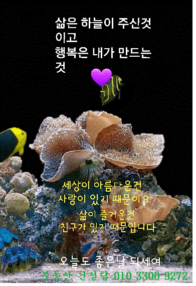  안락동,대지,도로변,사각모양,교통요지,대형식당