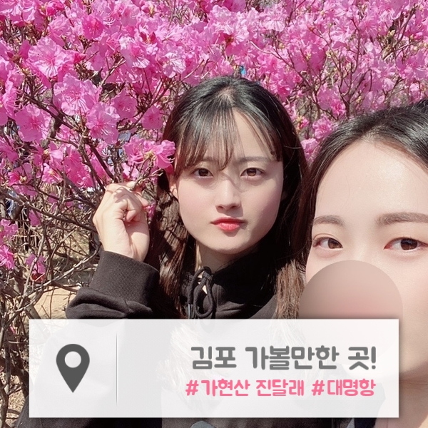  김포 | 가현산 진달래 & 대명항에 위치한  "우리횟집" 리얼 후기