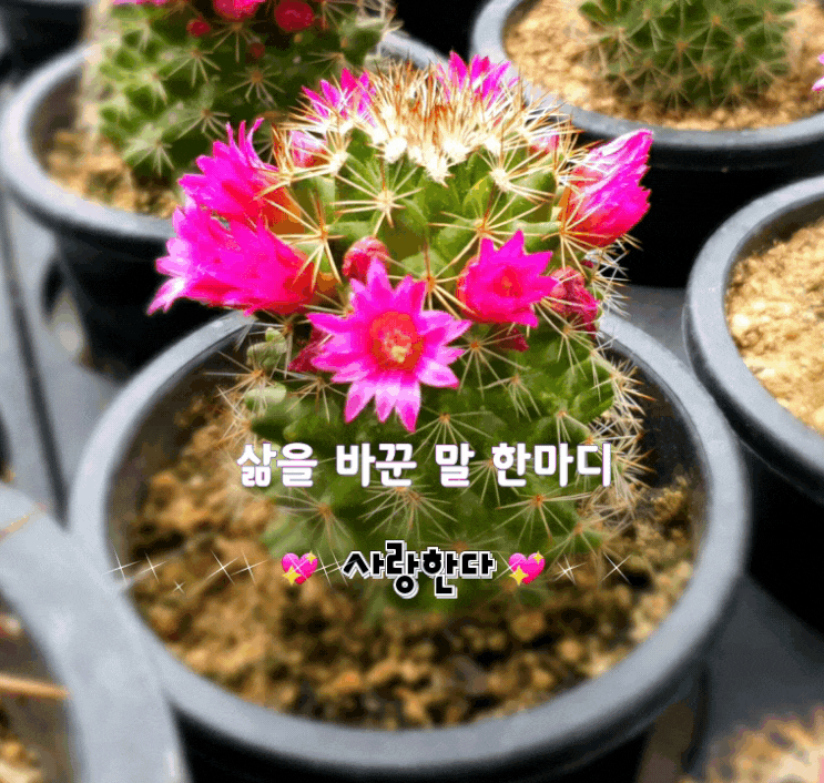 삶을 바꾼 말 한마디 삶을 바꾼 말 한마디