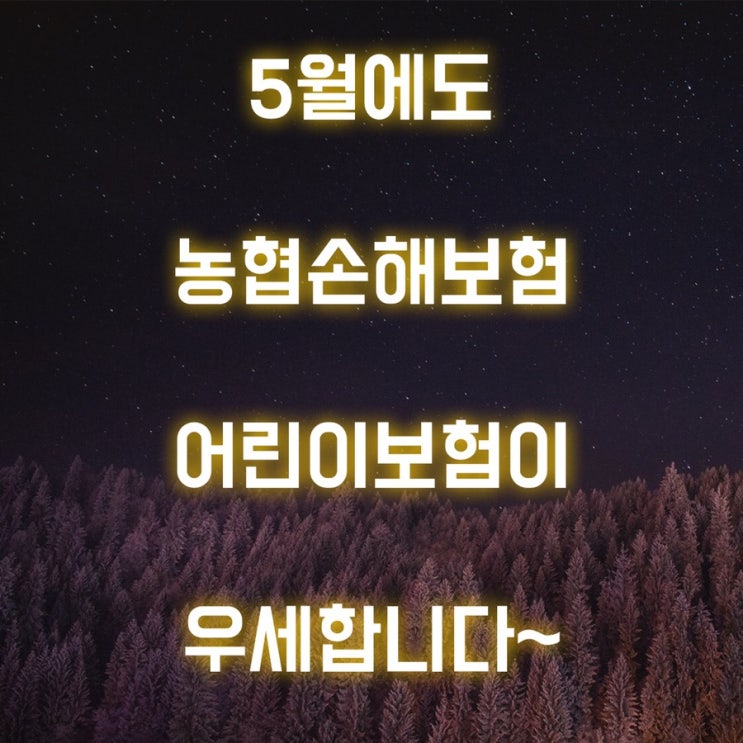  NH농협손해보험의 무해지 어린이 보험은 5월에도 유리할까요?
