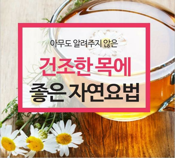  건조한 목에 좋은 자연요법으로 마시면 도움되는 차 종류 기관지에 좋은차