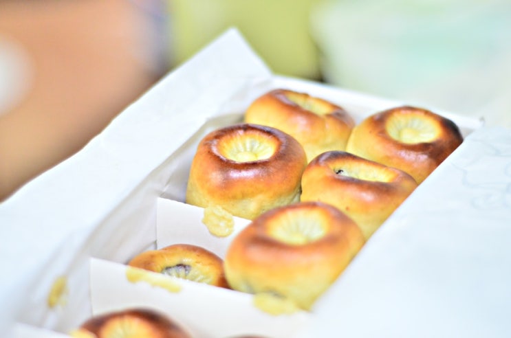  경주 특산물 찰보리빵 맛집 김용경 경주빵 솔직리뷰