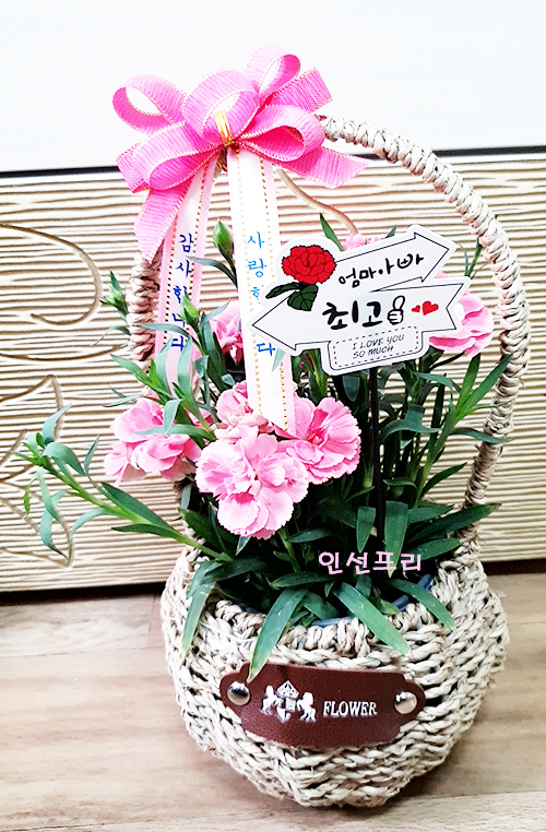 어버이날 카네이션 꽃바구니 분홍 카네이션~* 13,000원