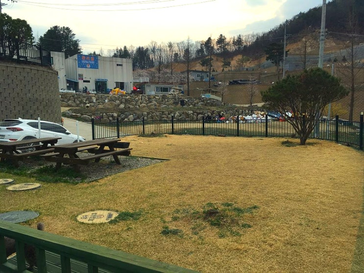  개별운동장이 있는 서울 근교 애견펜션 가평 '에코독펜션'
