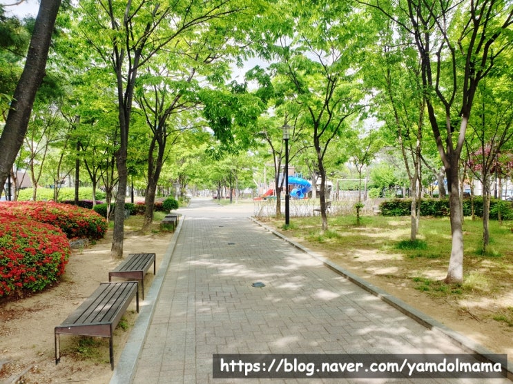 동탄 개나리공원에서 여름의 시작을 알리는 바닥분수 물놀이터 구경 동탄 개나리공원에서 여름의 시작을 알리는 바닥분수 물놀이터 구경