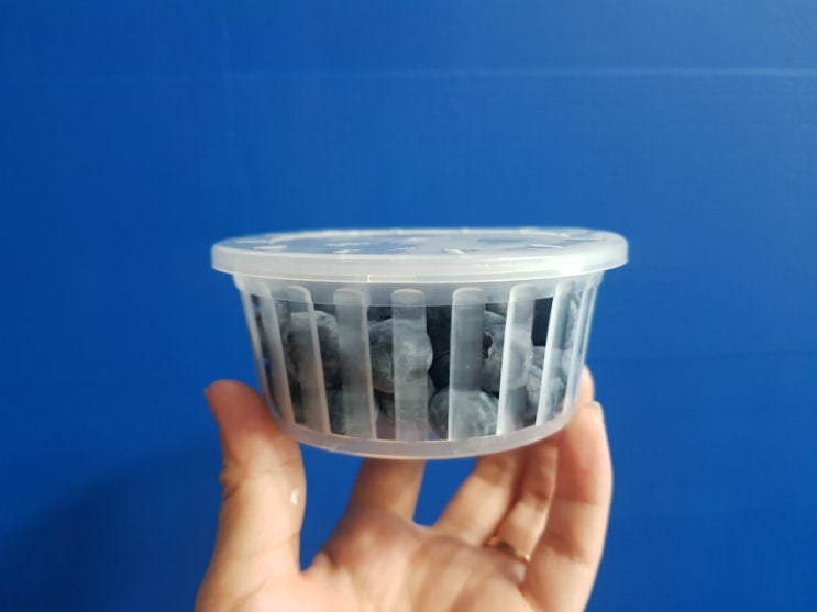  5월 제철 과일 블루베리 효능칼로리