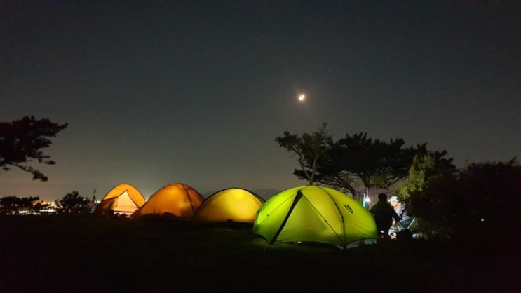  부산 백패킹 장소:  부산 승학산 등산 코스 따라 억새도 보고 퇴근박 하고