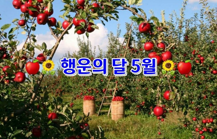 행운의 달 5월 행운의 달 5월