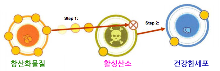 [California Gold Nutrition] PQQ함유 CoQ10 - 항산화, 숙면, 만성피로 +(심혈관, 알츠하이머, 파킨슨병)